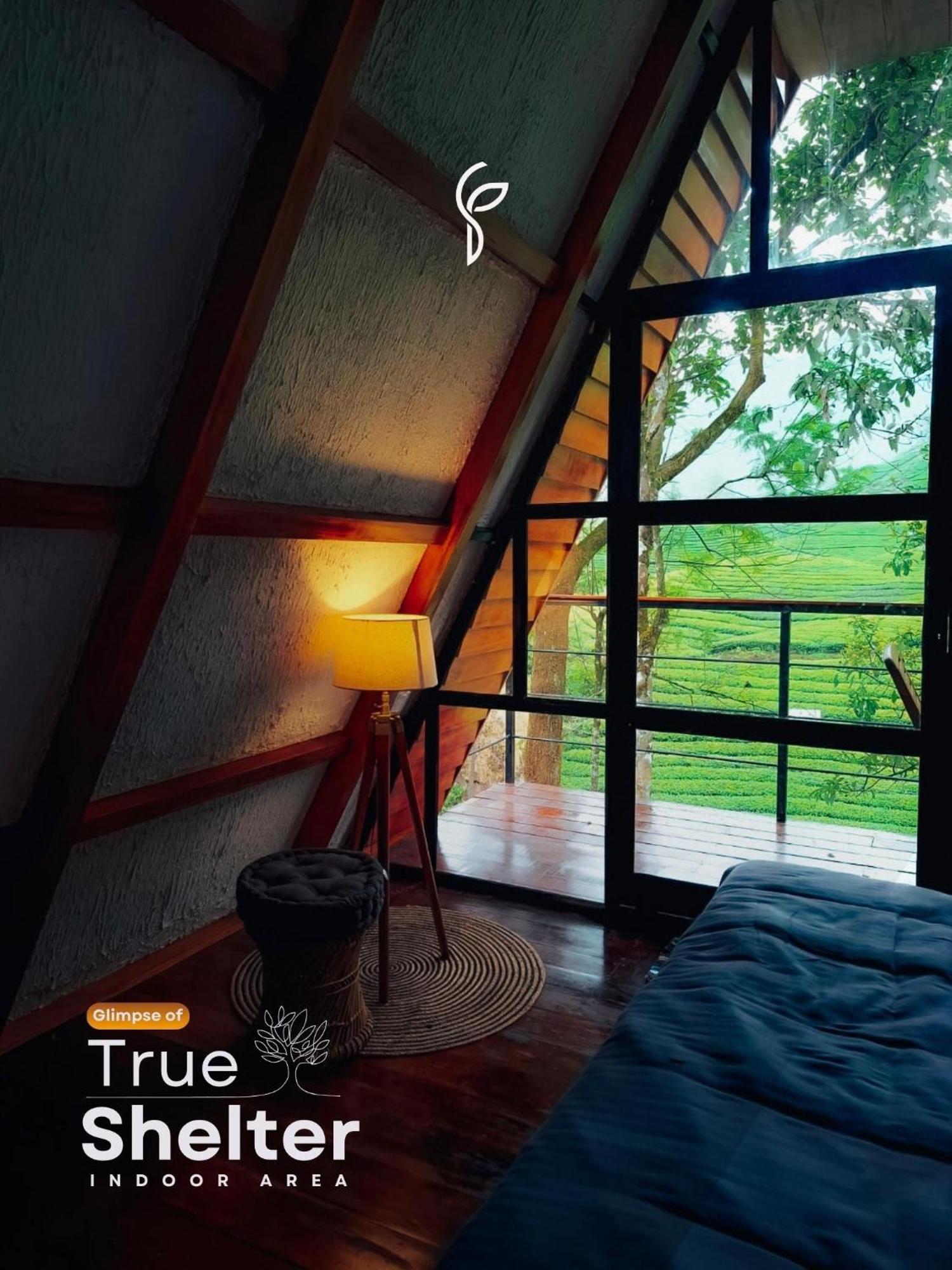 Resort Forestscape Munnar