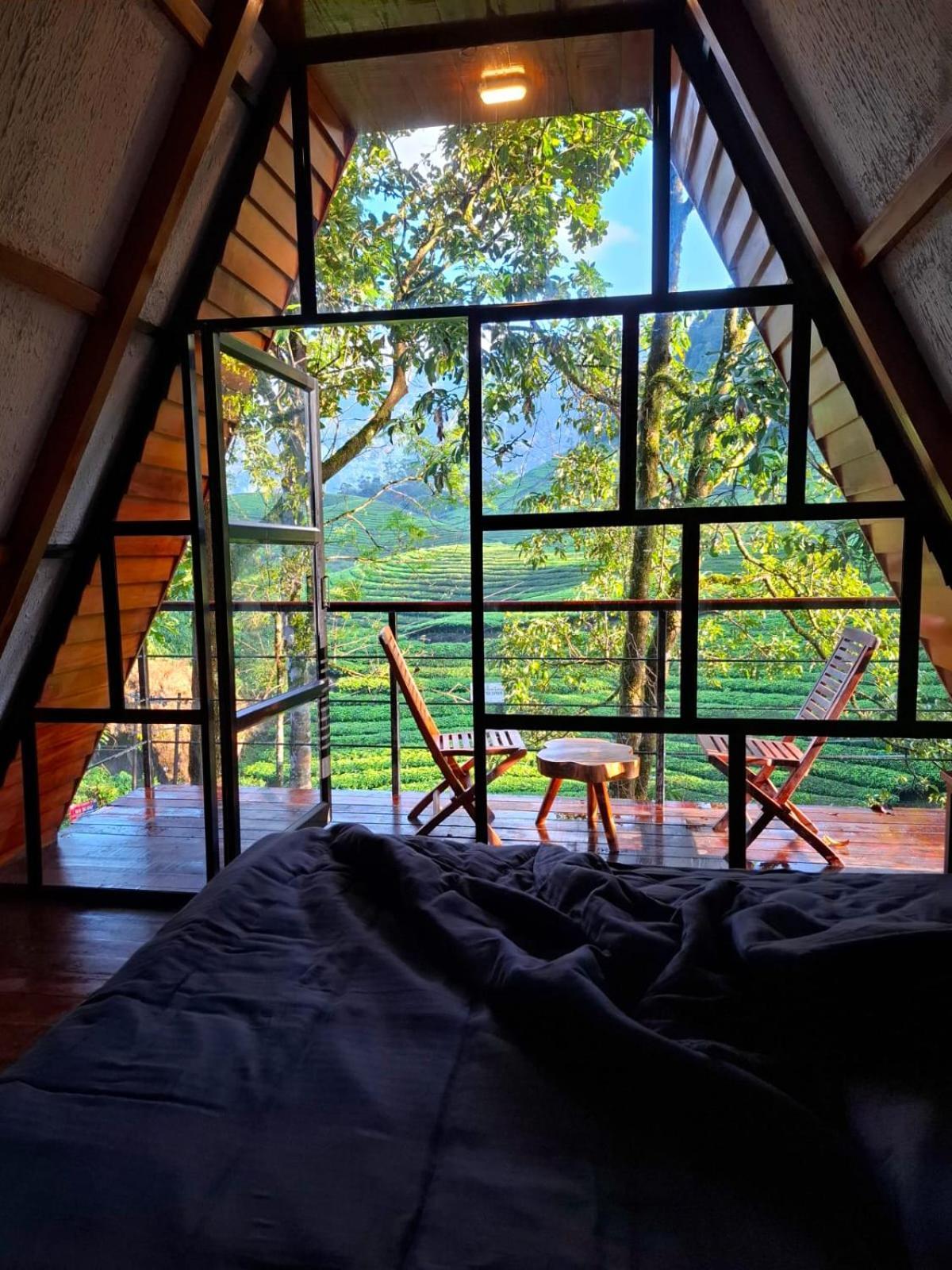 Resort Forestscape