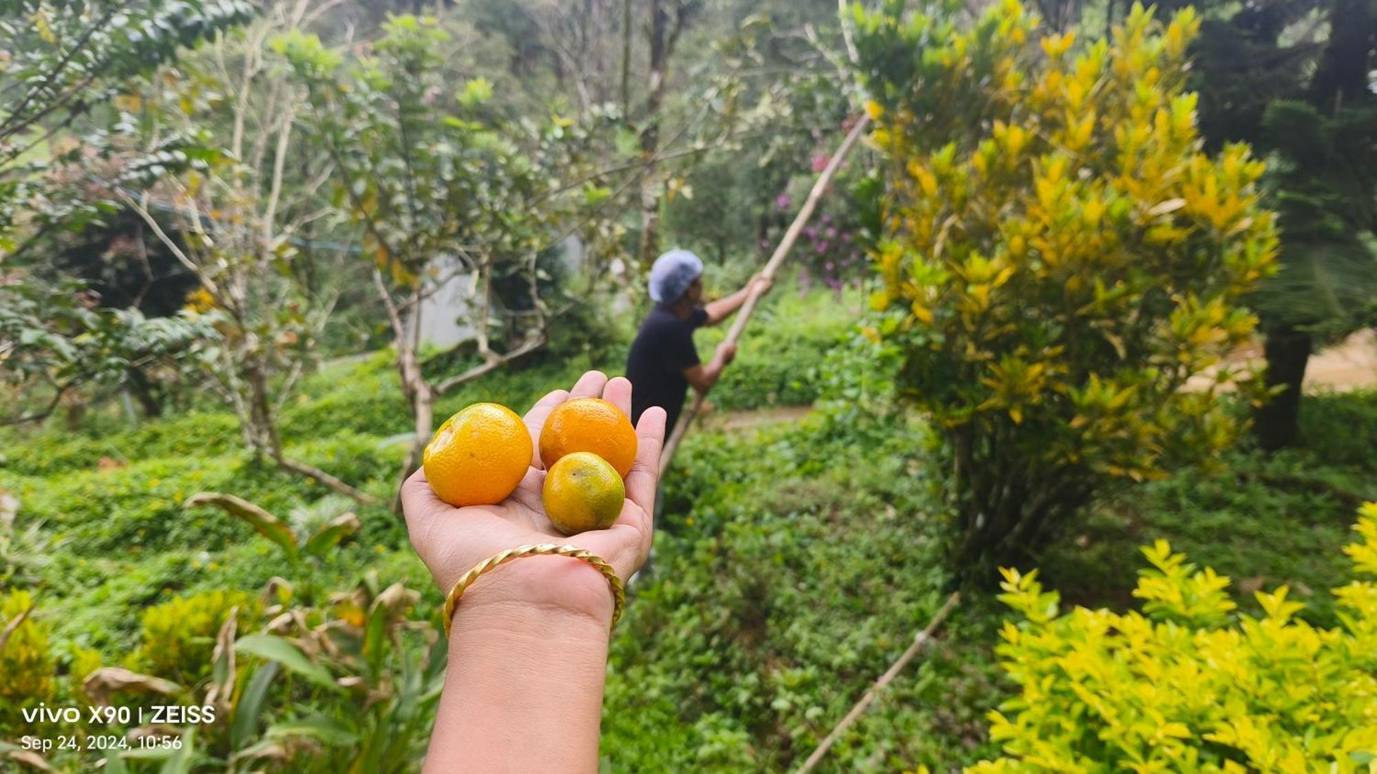 Forestscape Resort Munnar