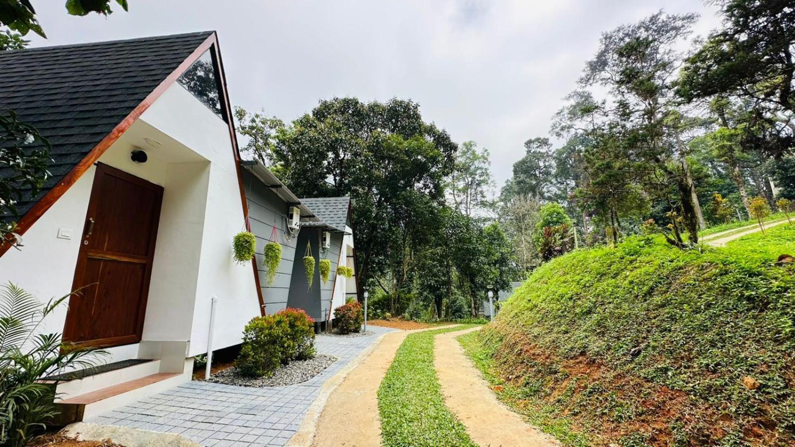 Resort Forestscape