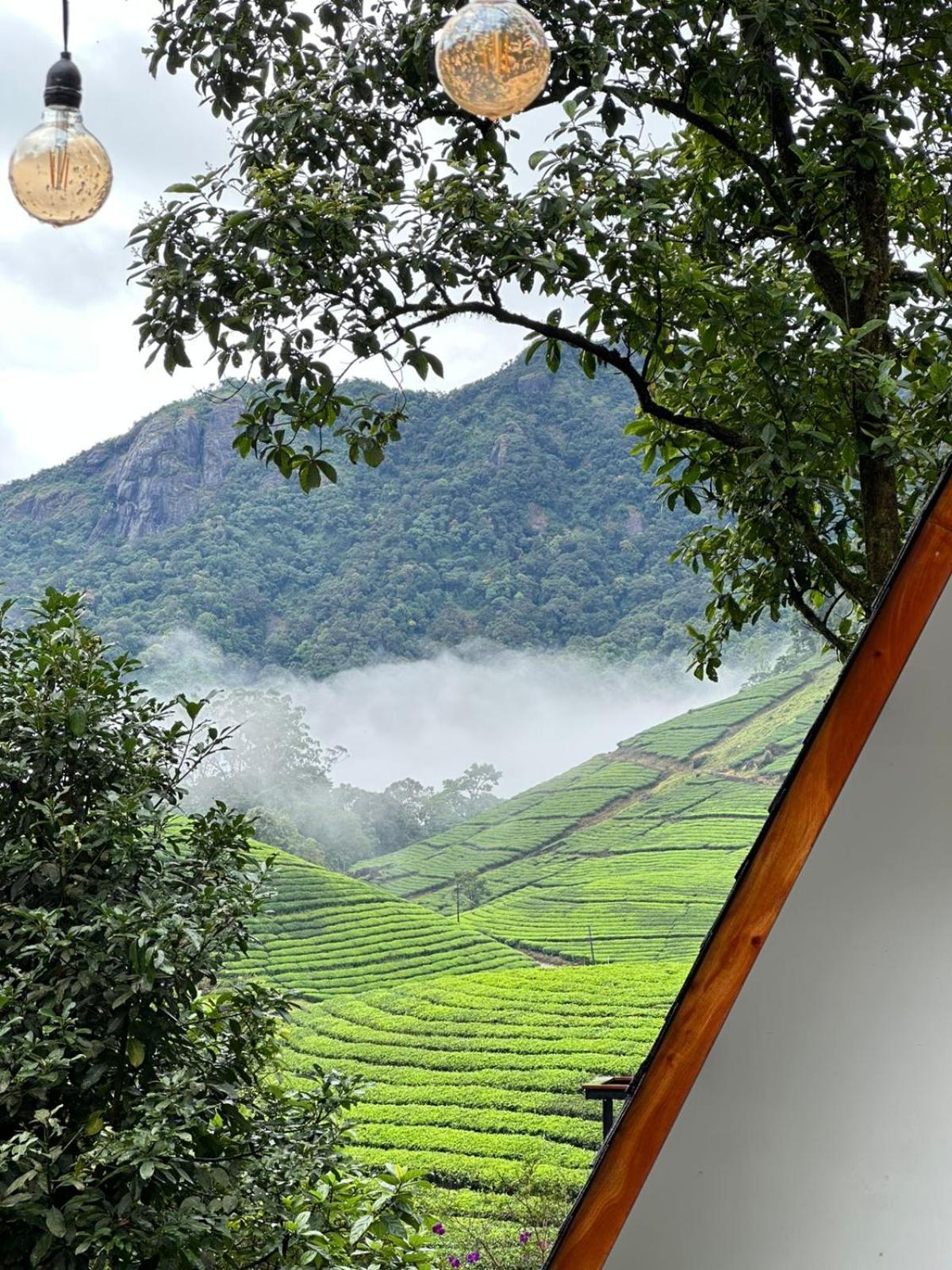 Forestscape Resort *