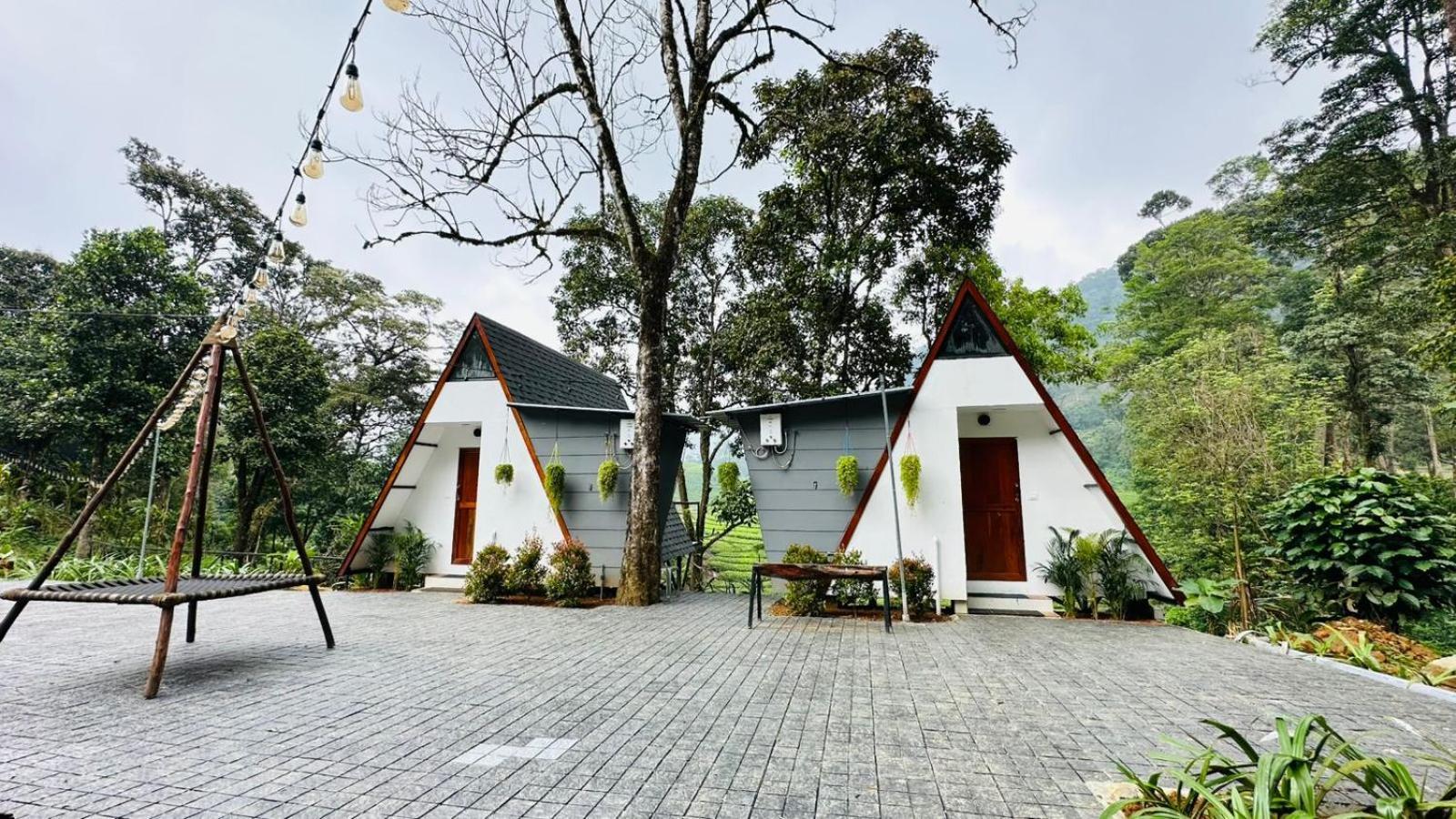 Resort Forestscape *