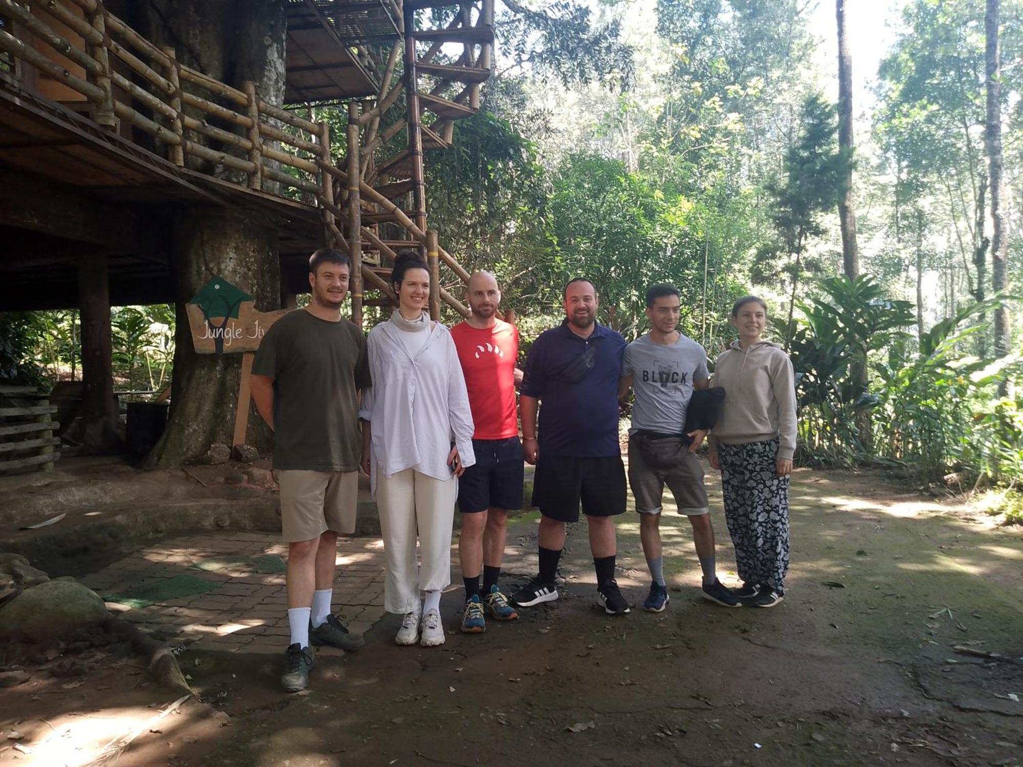 Jungle Jive Treehouse And Farm stay *