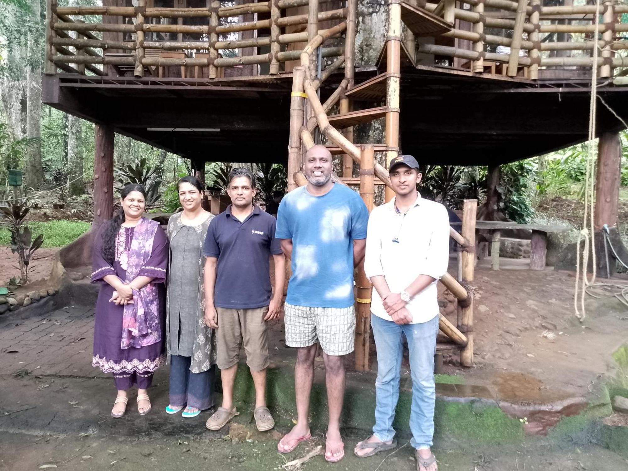Jungle Jive Treehouse And Farm stay