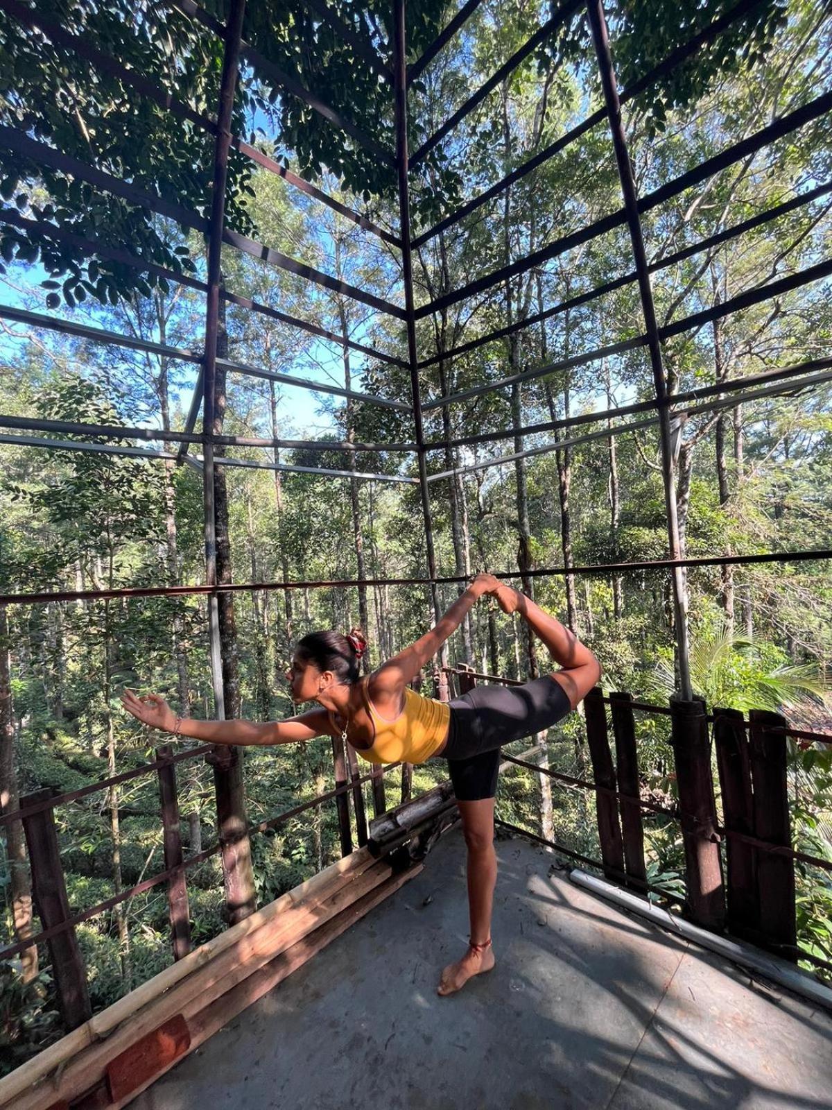 Jungle Jive Treehouse And Farm stay Munnar