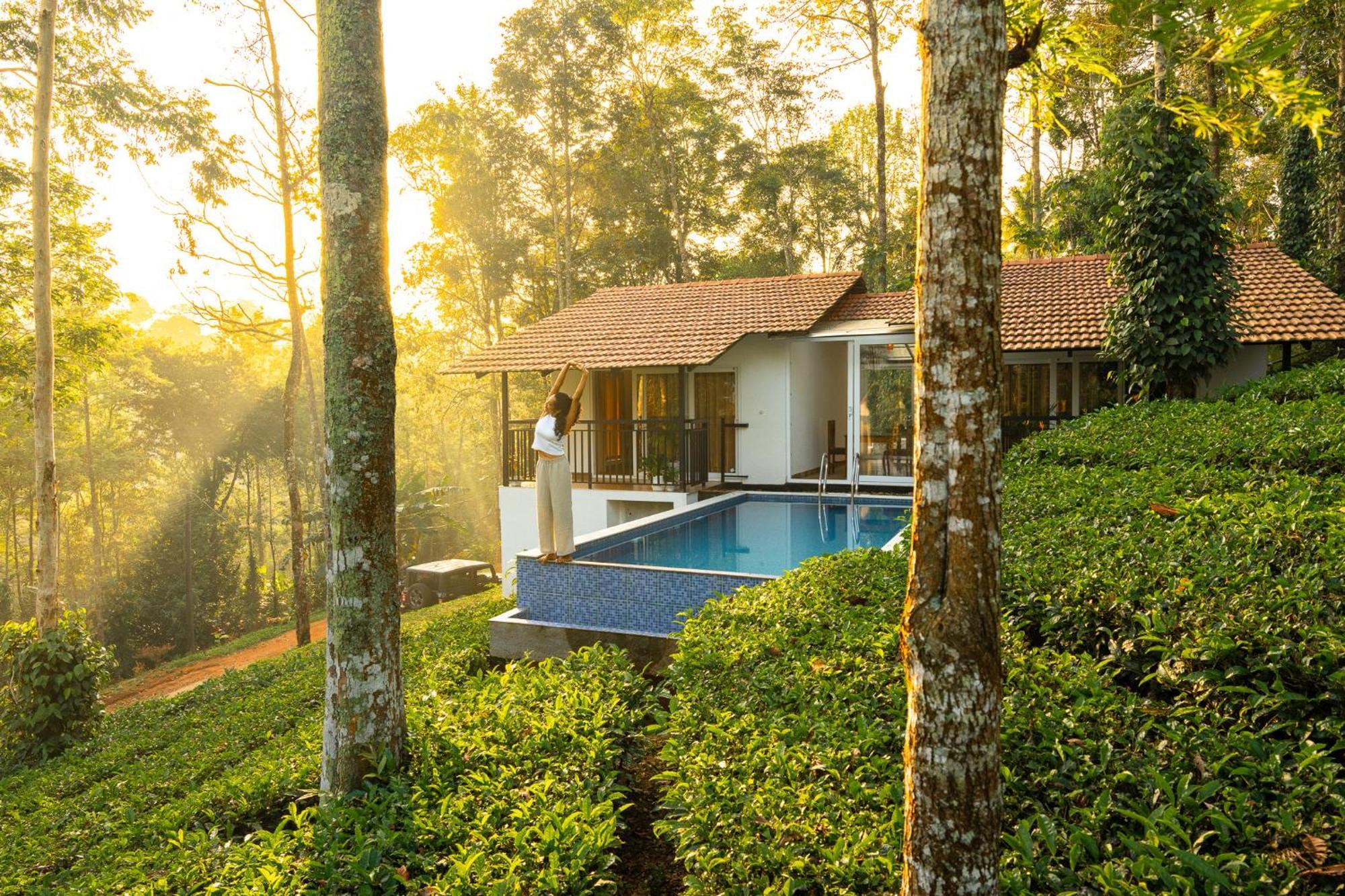 Tealawn Pool Villa, Munnar