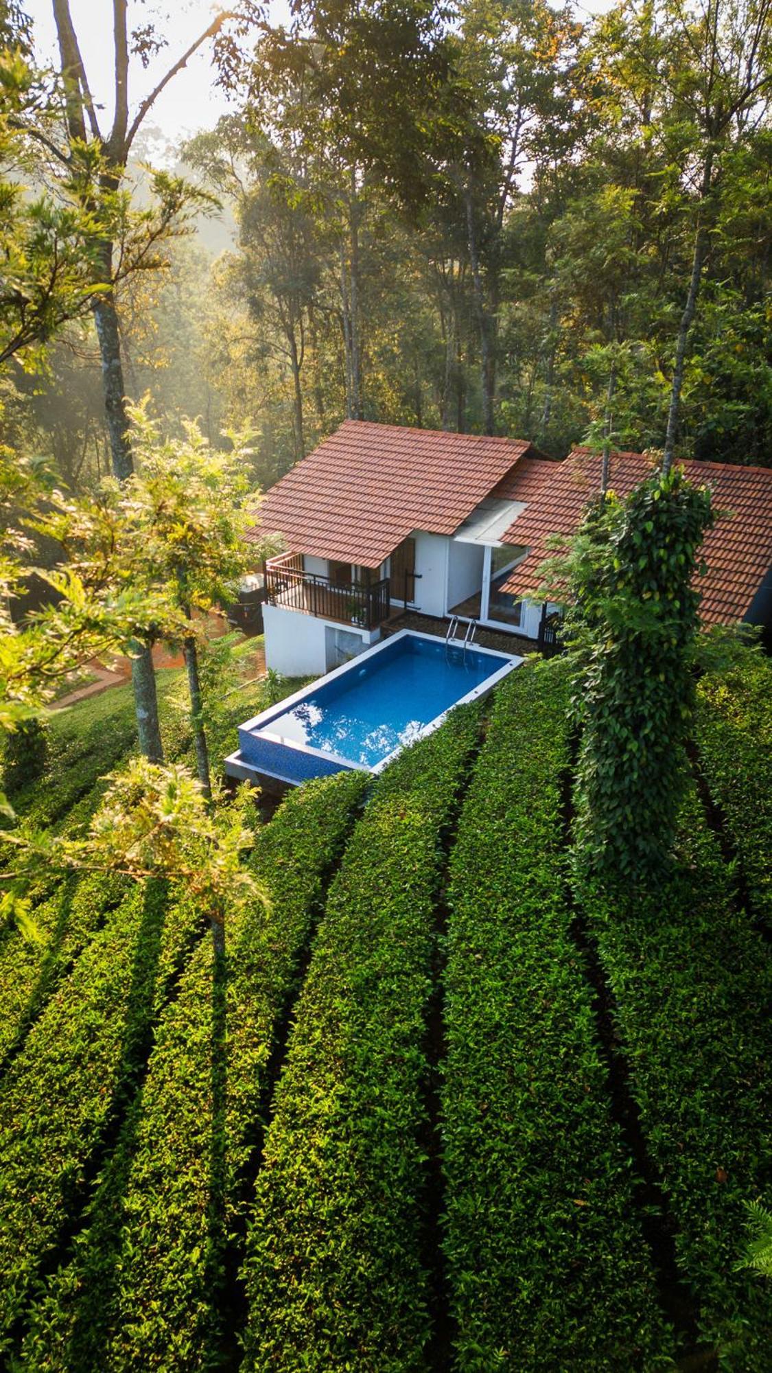 Tealawn Pool Villa, Munnar