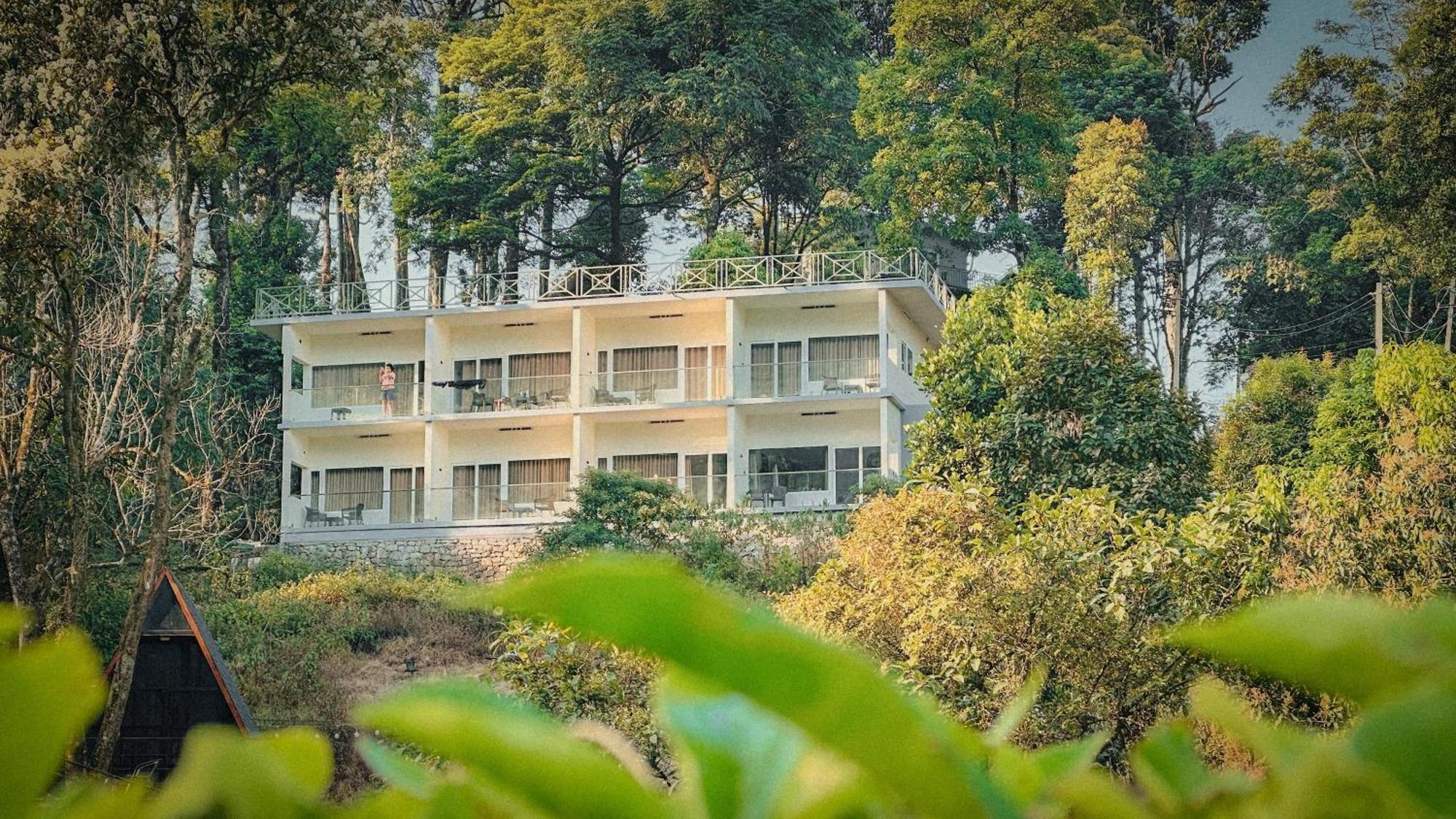Forestscape Munnar