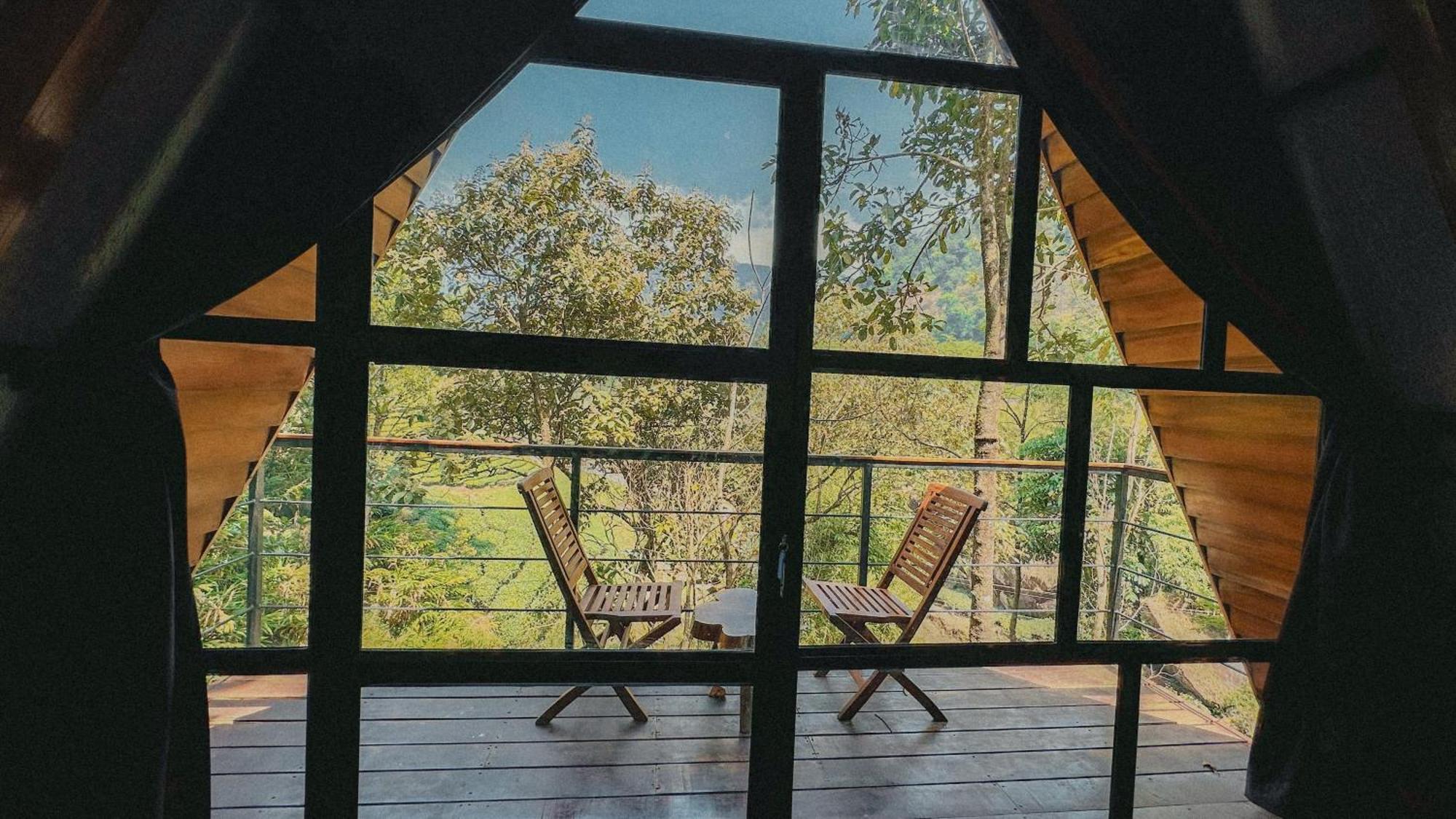 Resort Forestscape