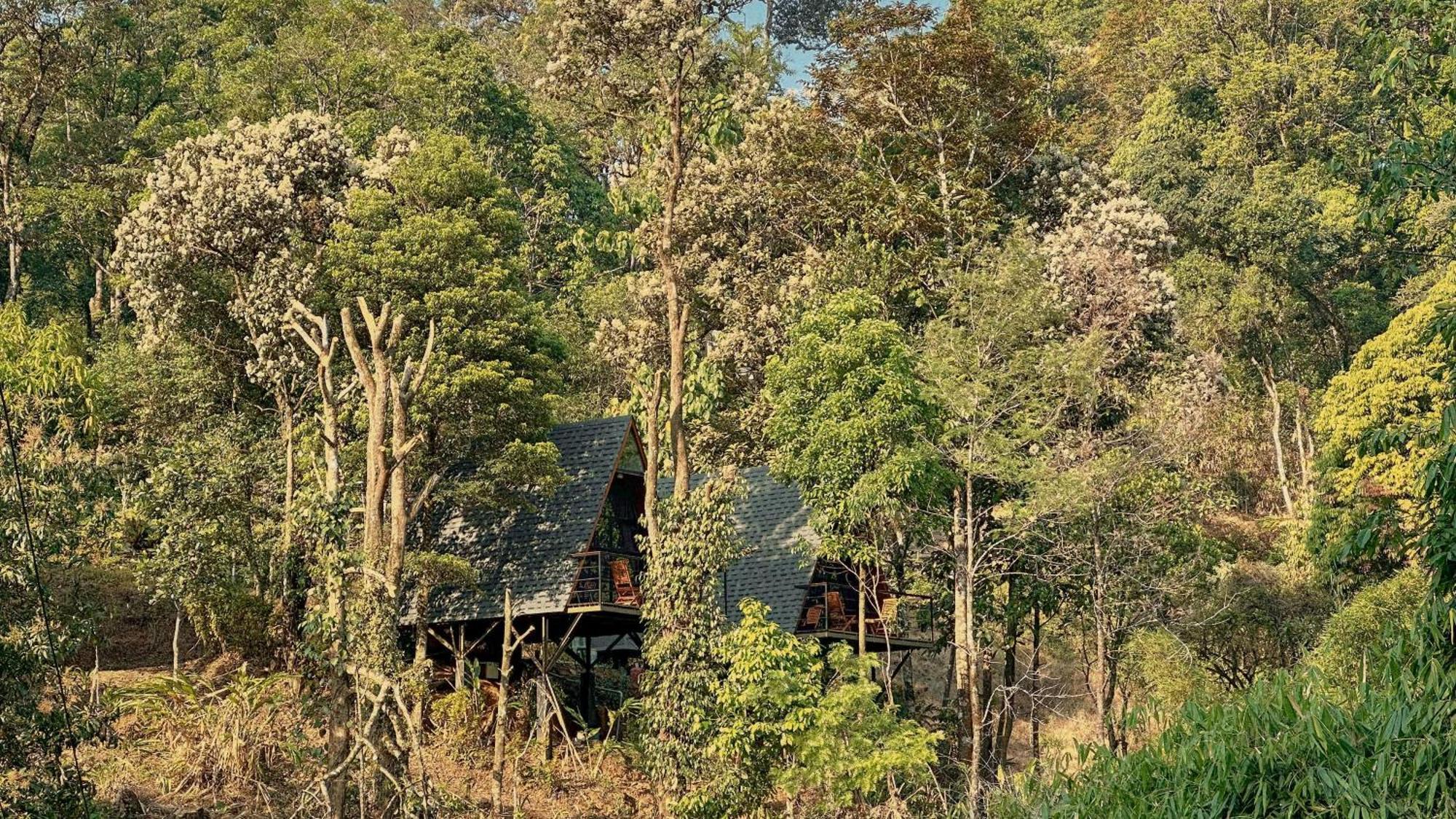 Forestscape Resort Munnar