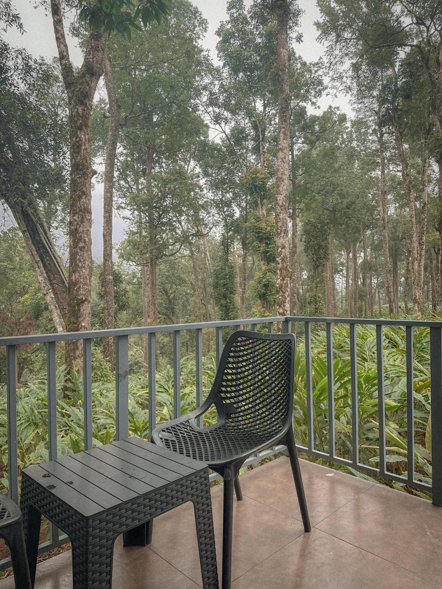 Resort Forestscape *