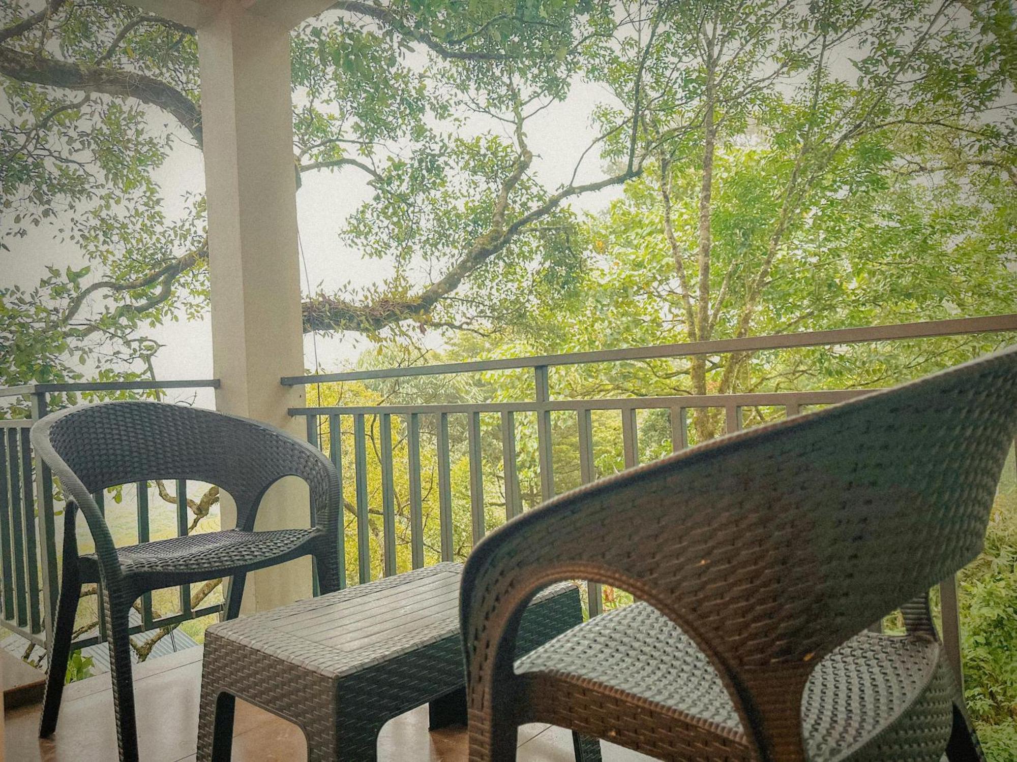 Resort Forestscape *