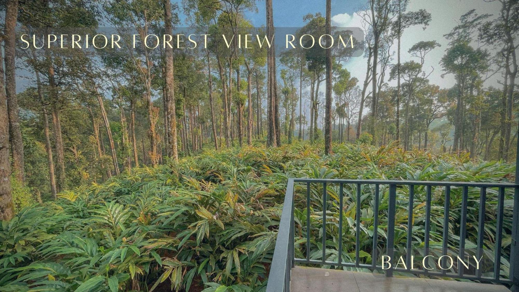 Forestscape * Munnar