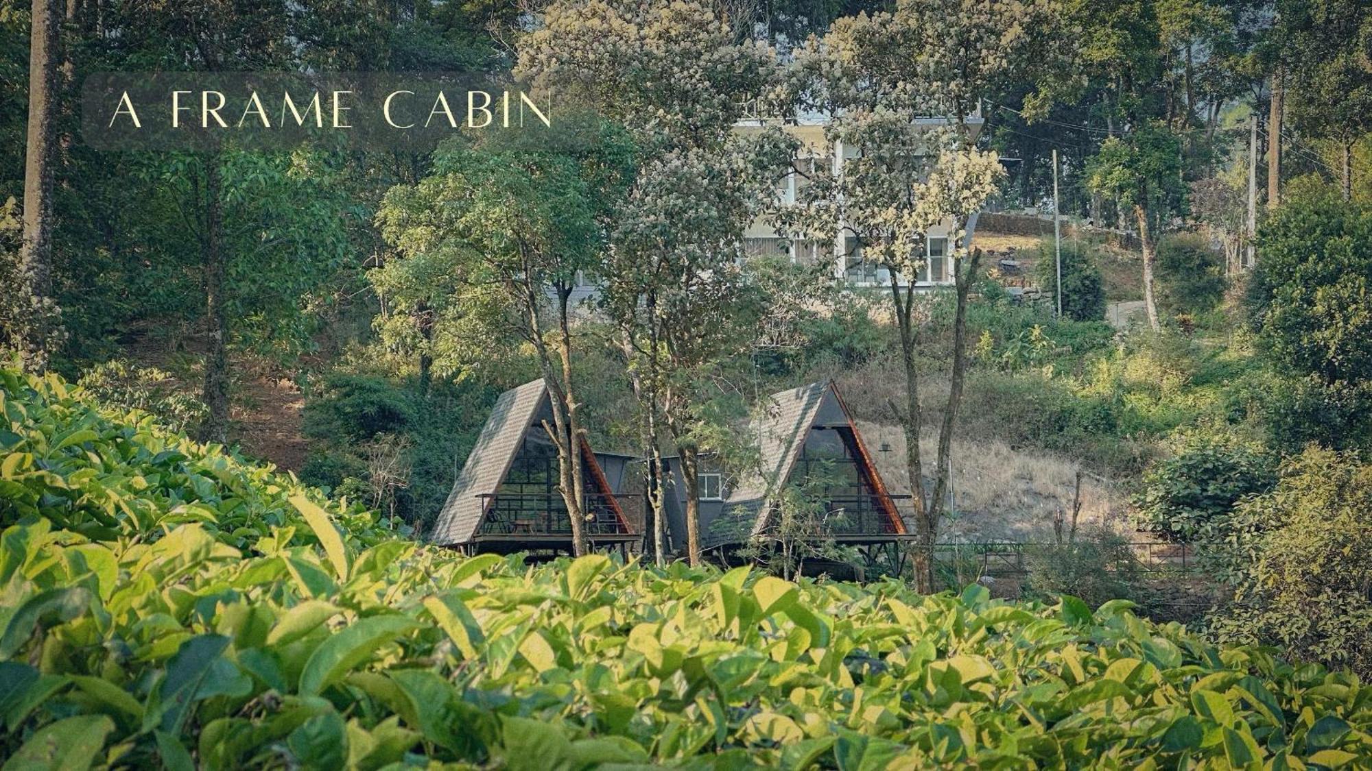 Resort Forestscape