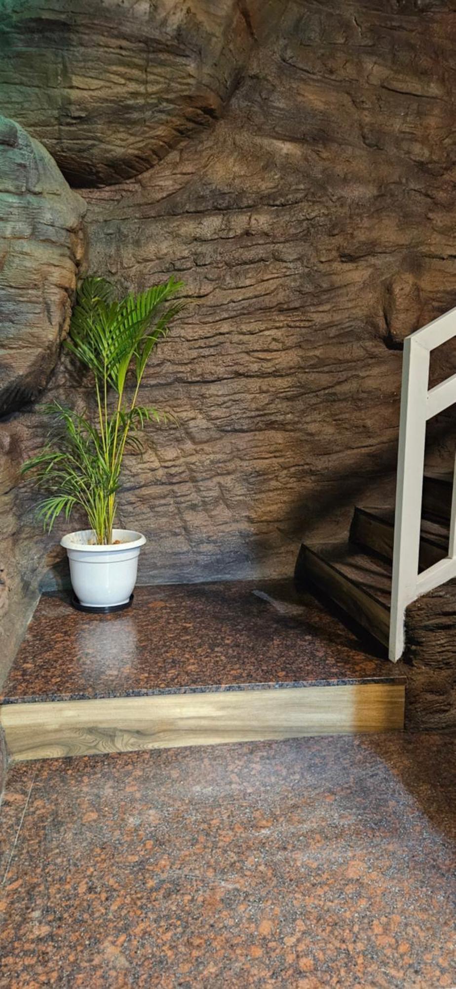 Homestay S & B Dreams House