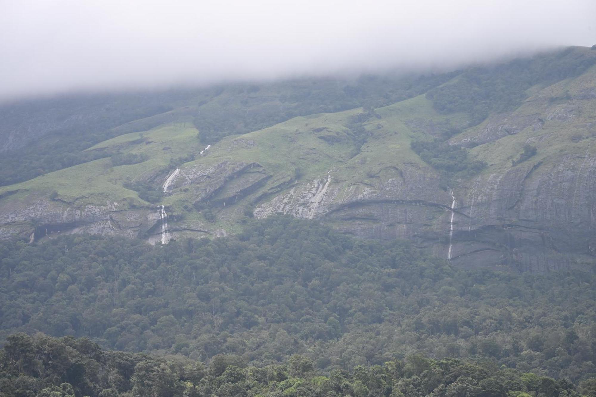 Spring Muunnar, 4* Munnar