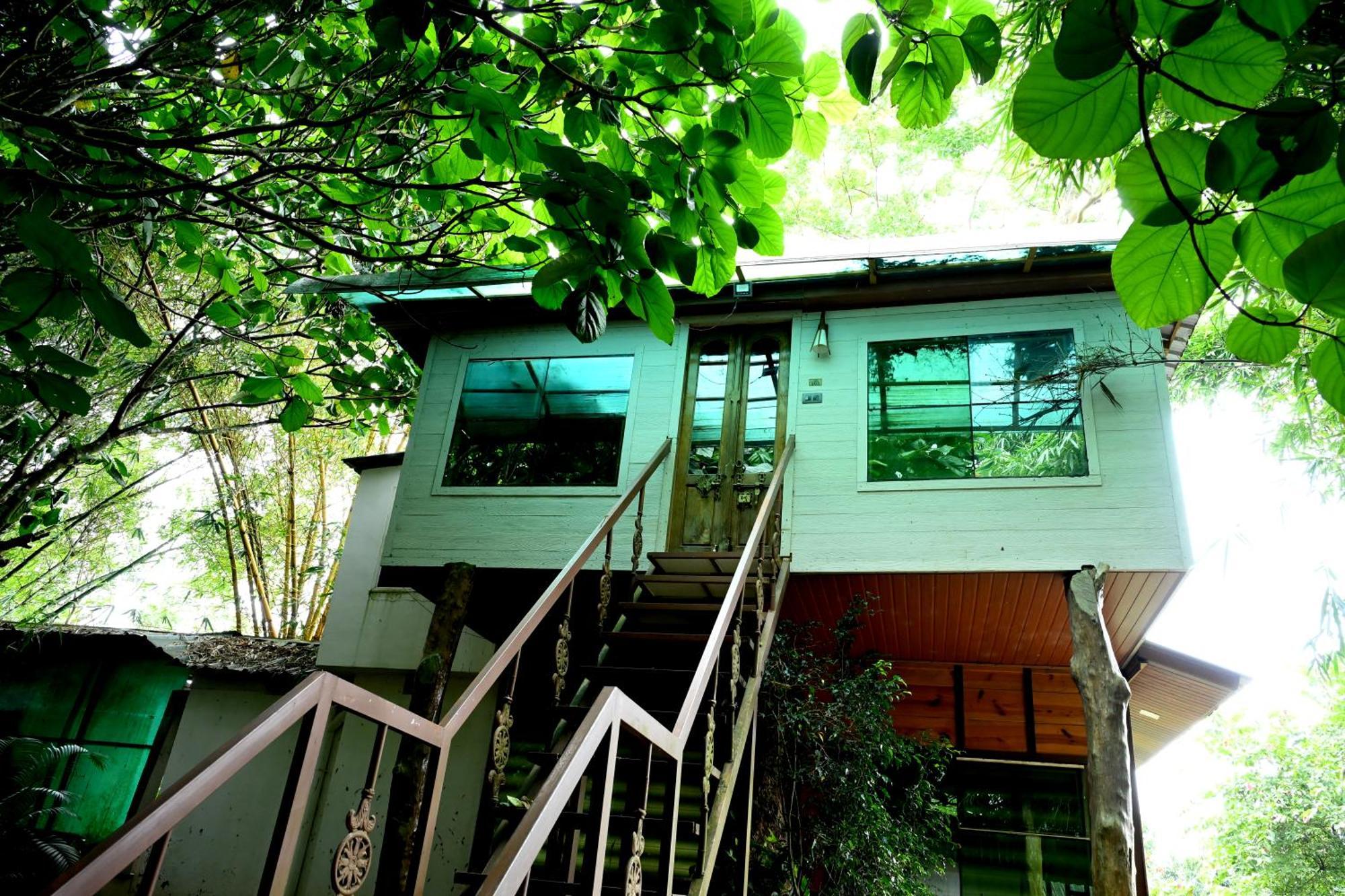 Spring Muunnar, 4* Munnar