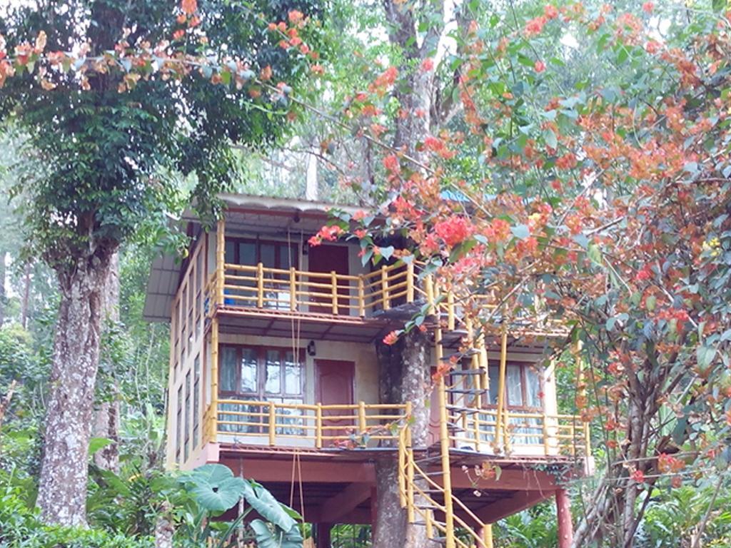 Bed & Breakfast Jungle Jive Tree House 3*