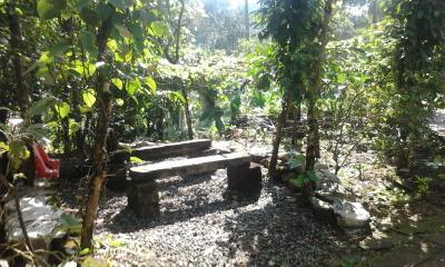 Sunleo Spice Villas & Homestay Munnar
