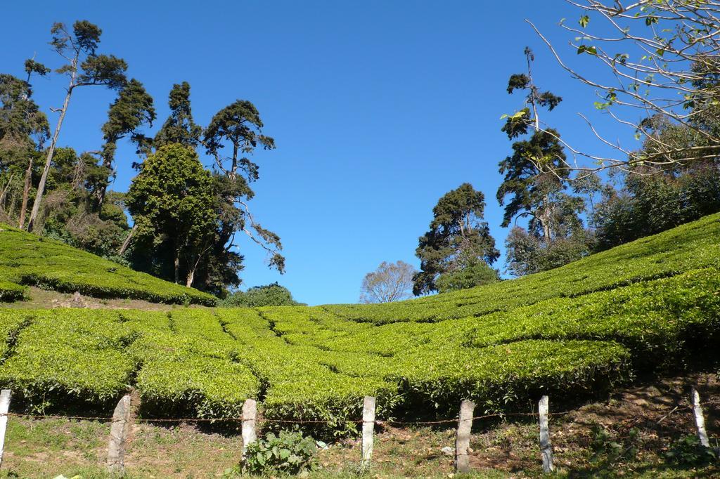 Homestay Magic Munnar