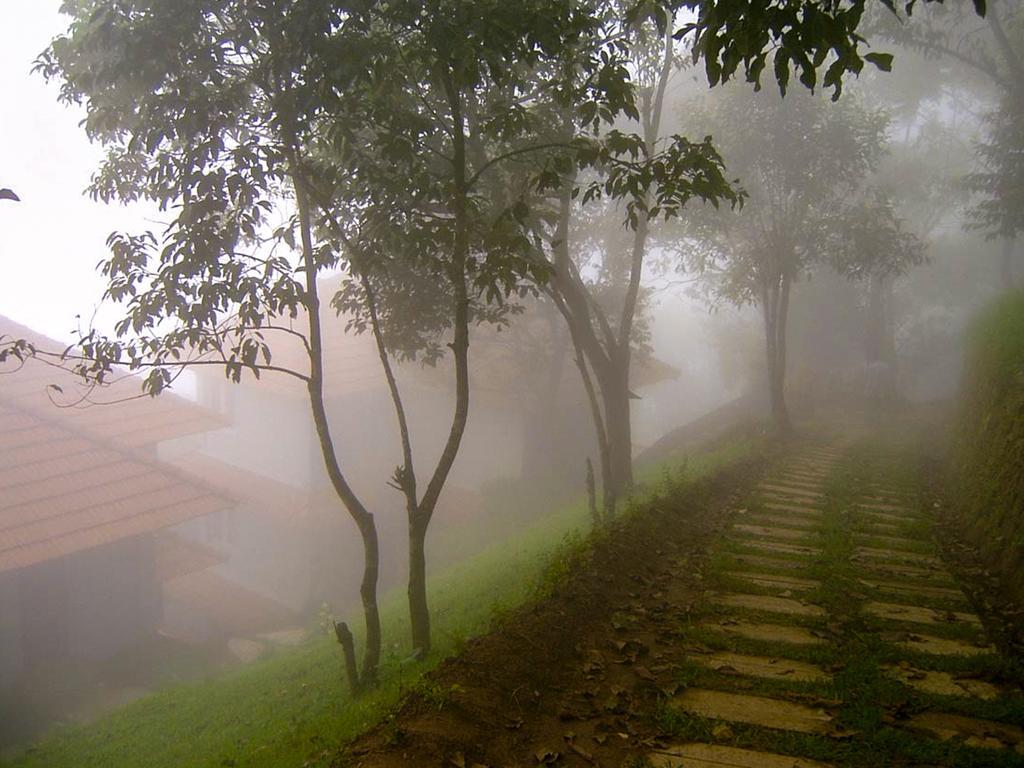 Resort Blackberry Hills Nature & 4*