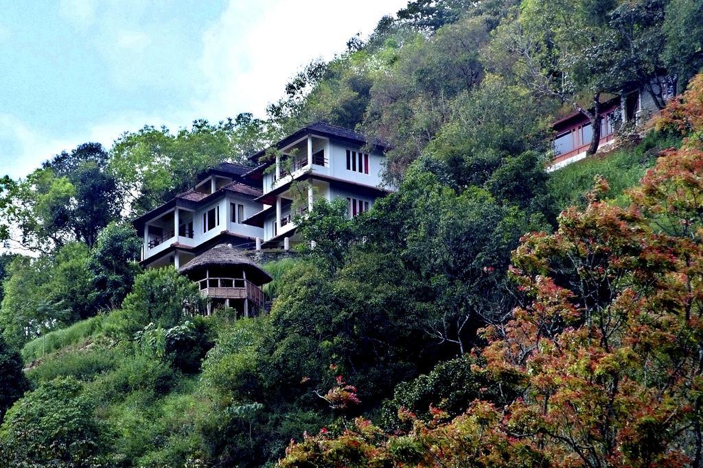 Blackberry Hills Nature & Munnar
