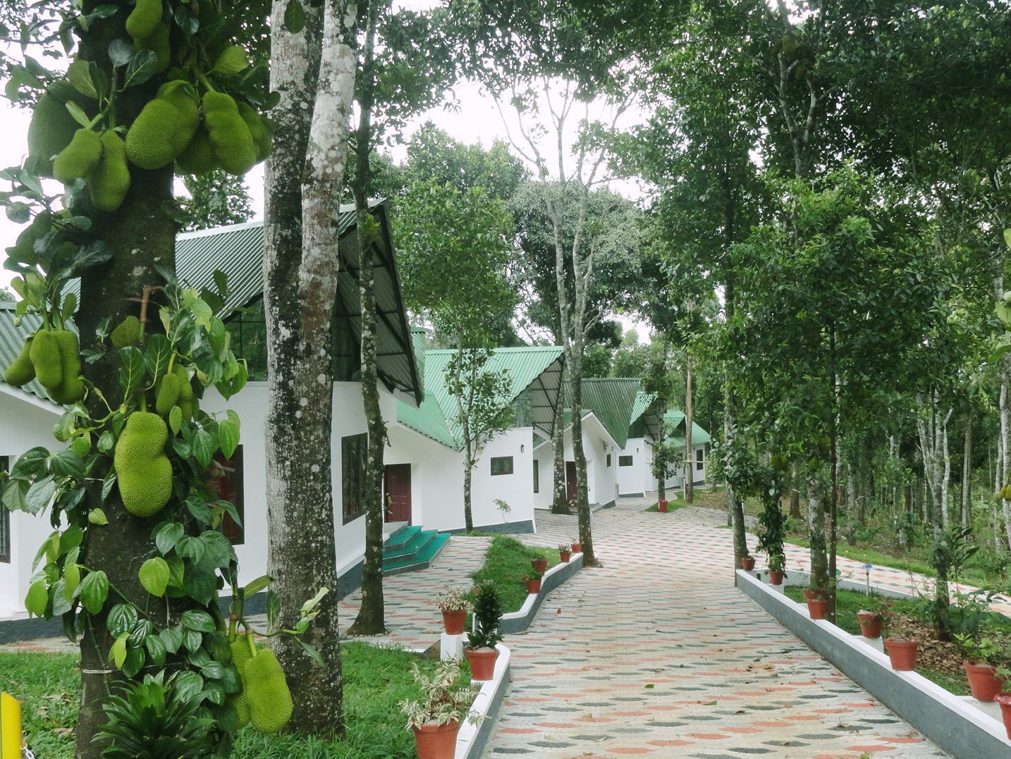 Resort Misty Resorts, 3*