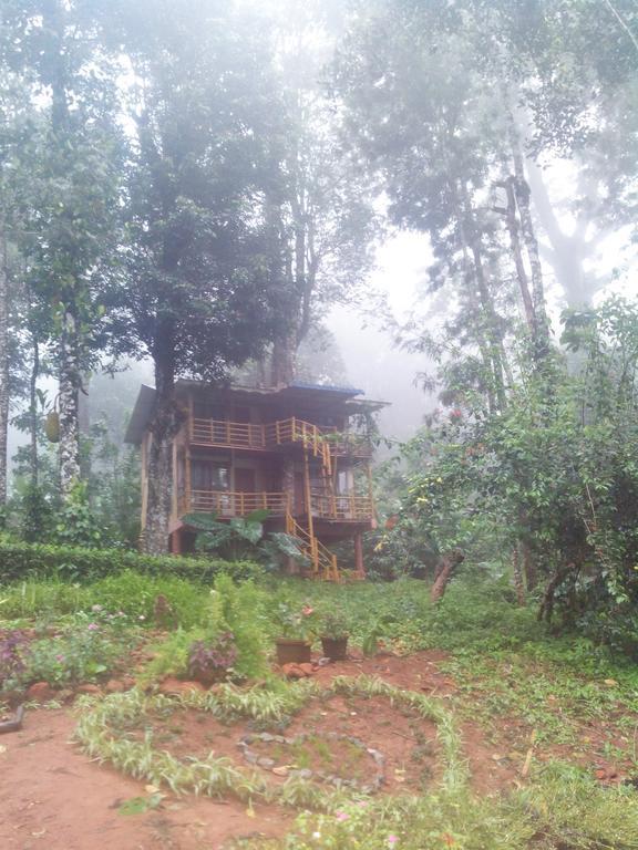 Bed & Breakfast Jungle Jive Tree House
