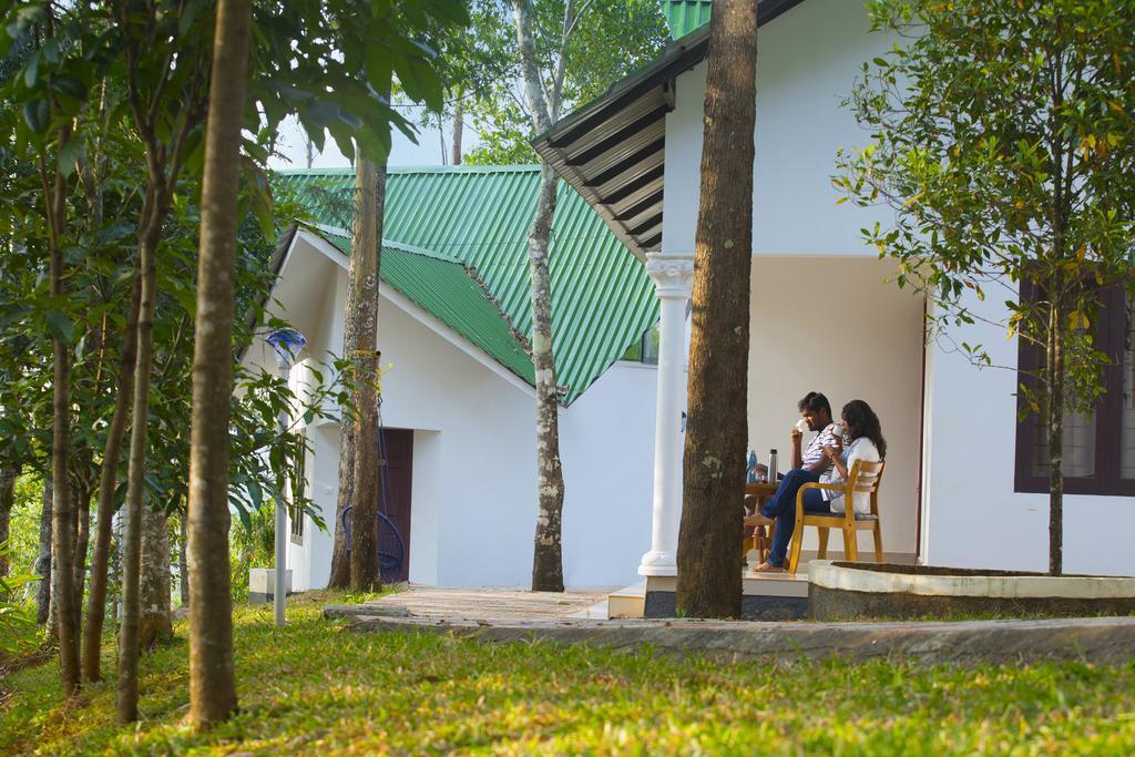 Misty Resorts,