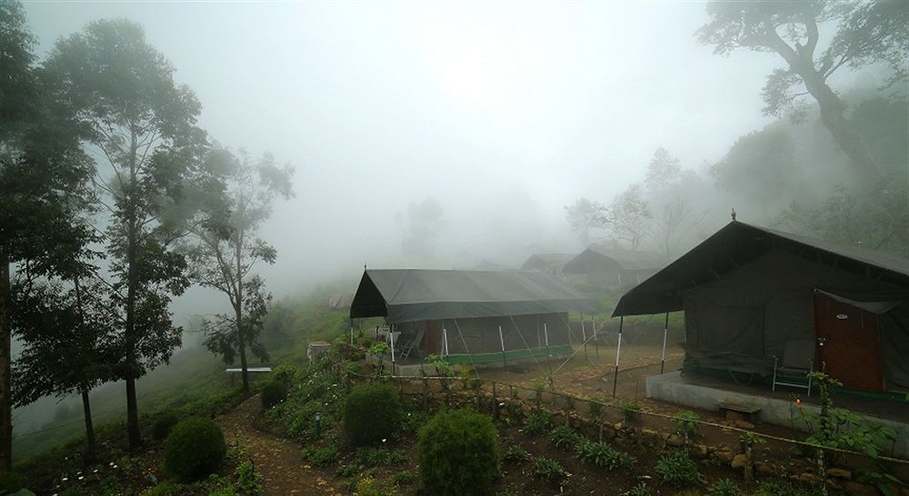 Resort Nature Zone Jungle Munnar