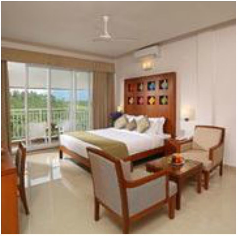 Resort The Fog Munnar