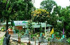 Great Escapes 3* Munnar