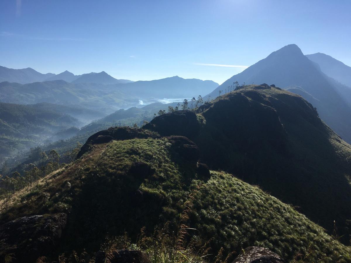 The Cliff Resort, Munnar