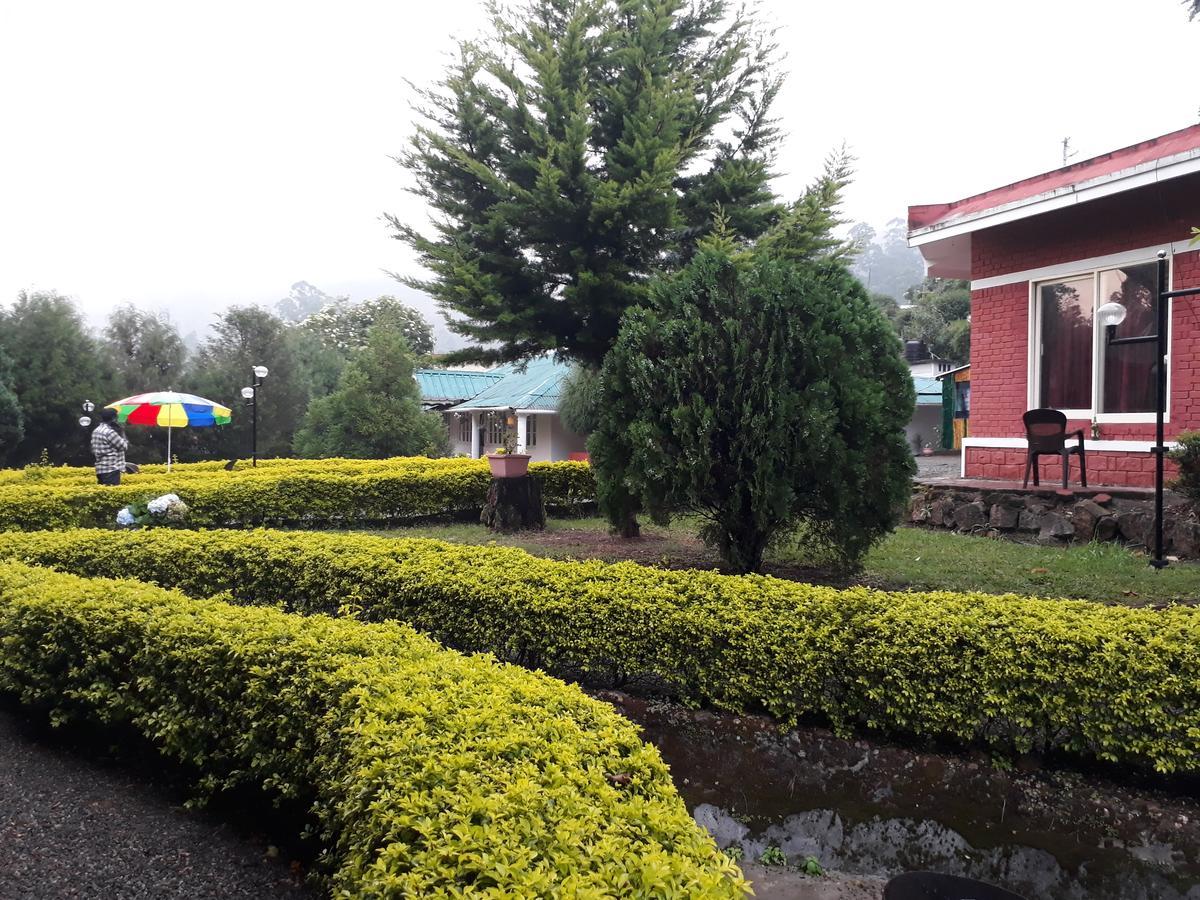 Golden Green Munnar