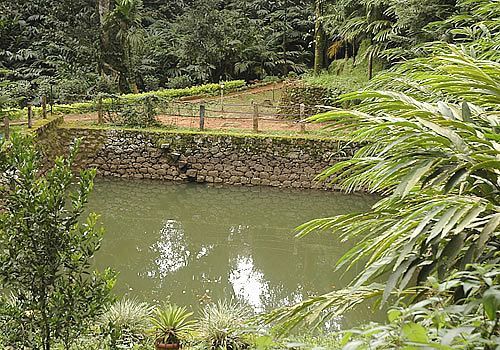 Glenmore 3* Munnar