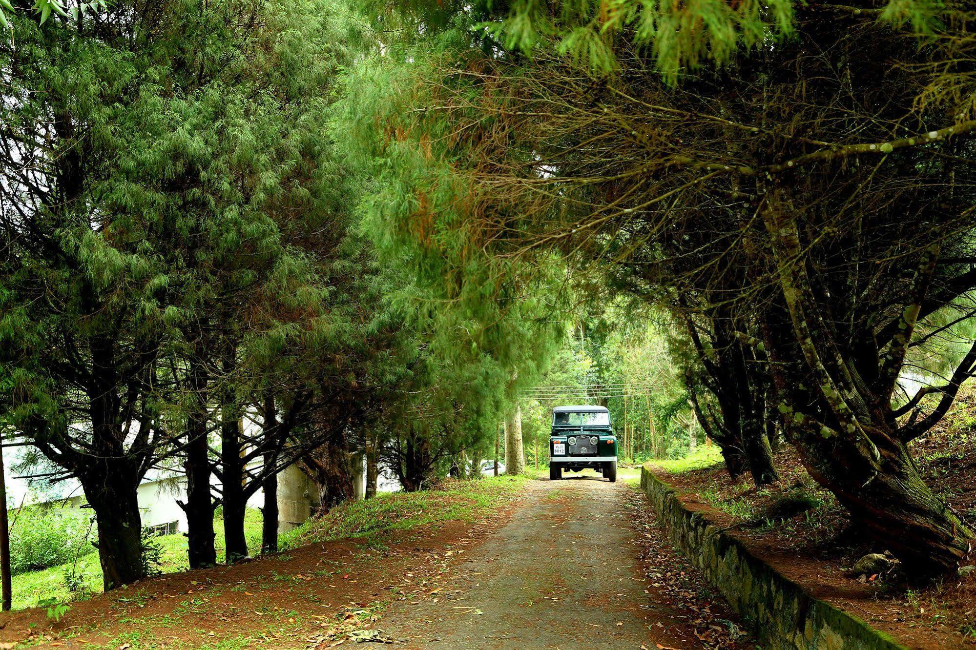 Green Jungle Holiday Hotel 3*