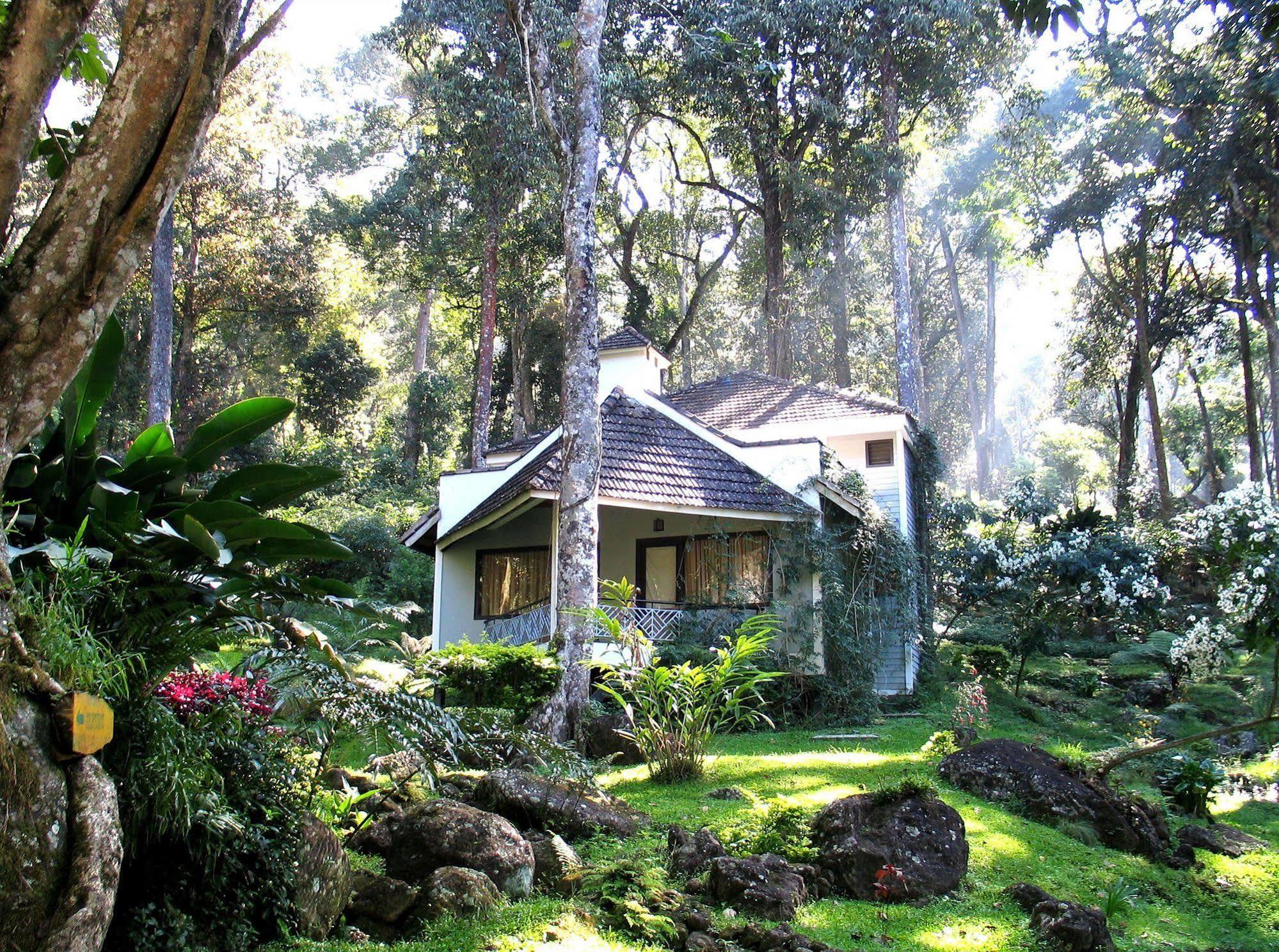The Tall Trees Resort Munnar