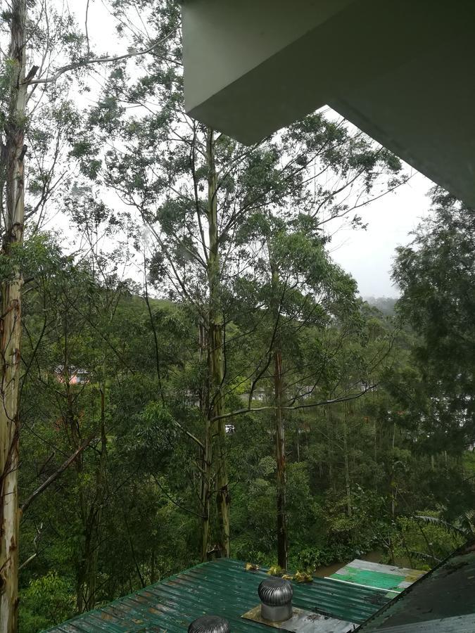 Eden Holidays Ev 3*