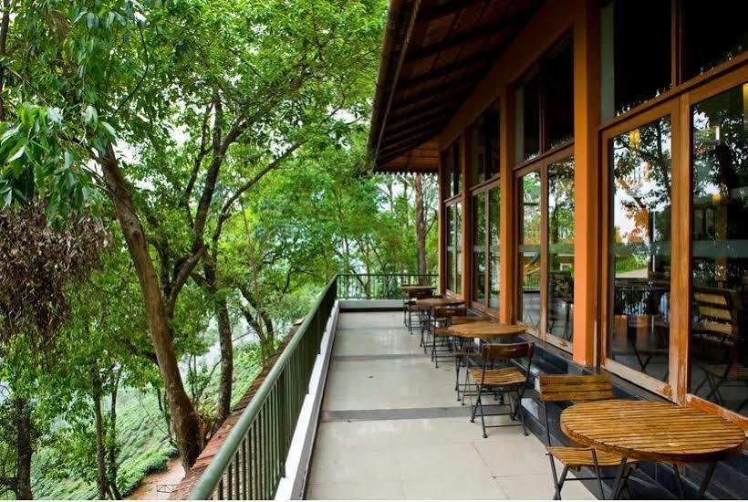 Tea Valley Resort,