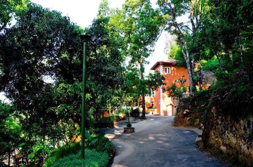 Tea Valley Resort,