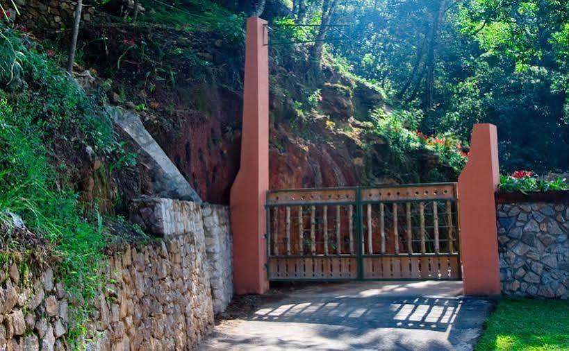 Tea Valley Resort, Resort