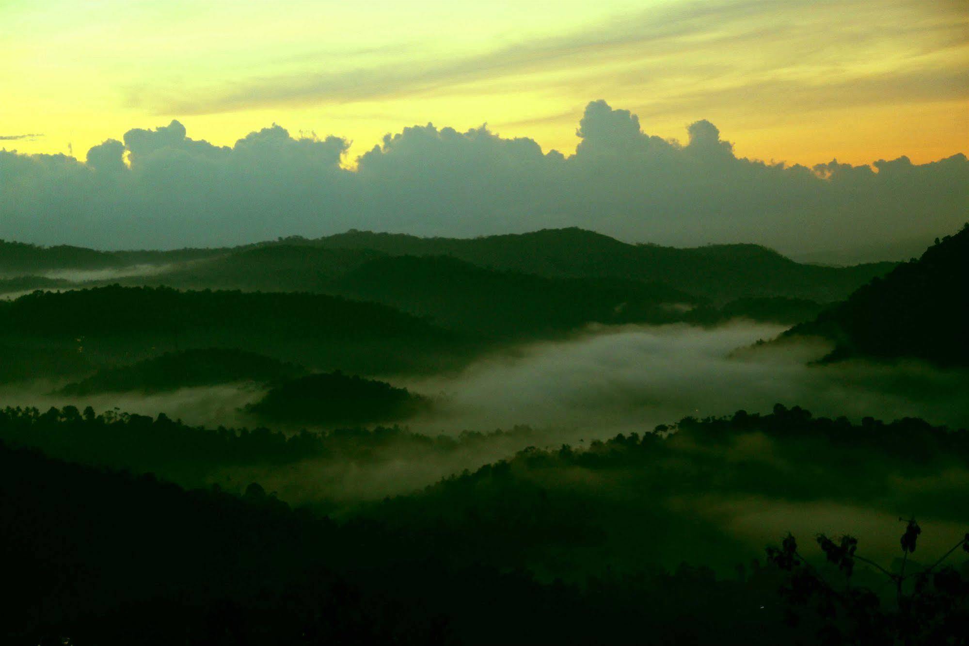Trees 3* Munnar