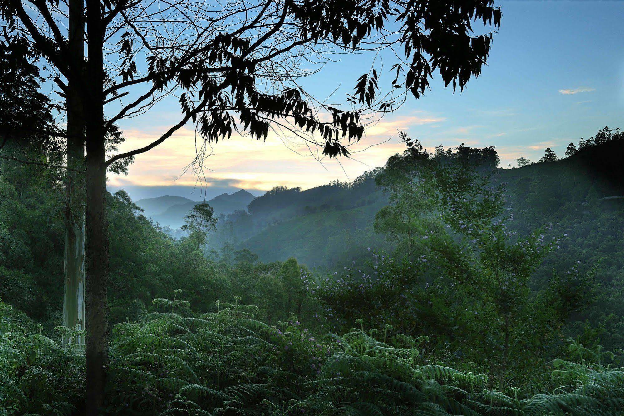Resort Elysium Garden Munnar