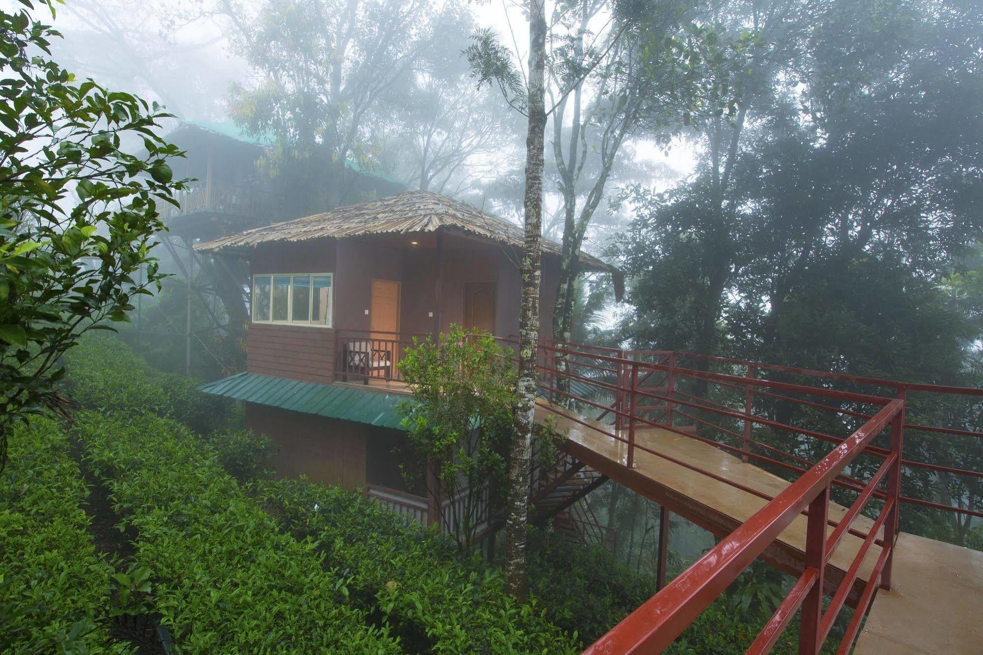 Resort Dream Catcher Munnar