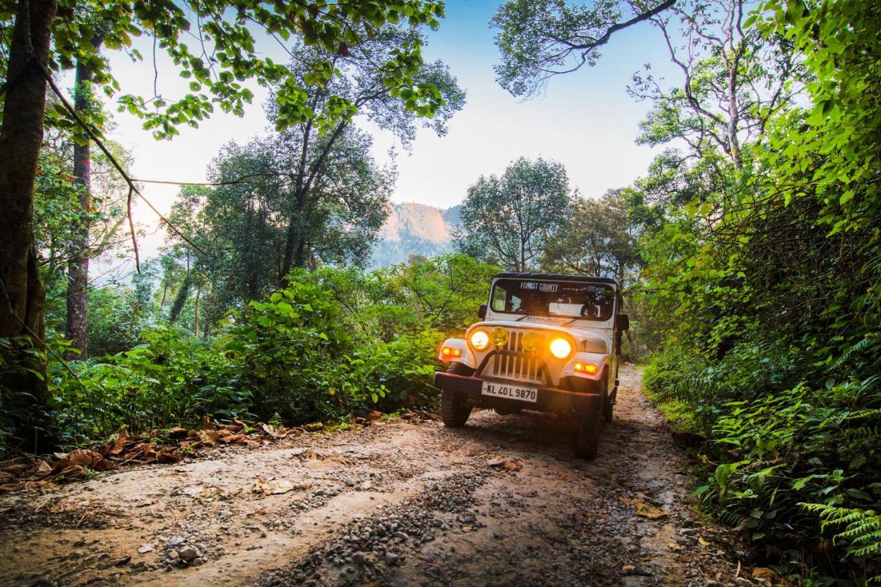 Resort Forest County Munnar