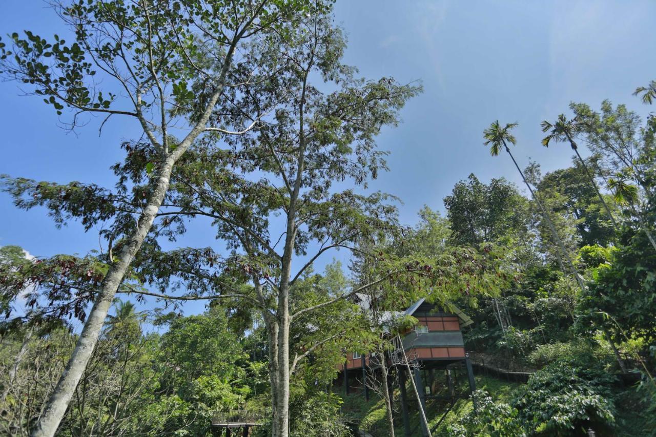 Himmelberg Nature Retreat Villa *