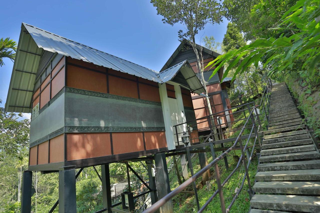 Himmelberg Nature Retreat Munnar