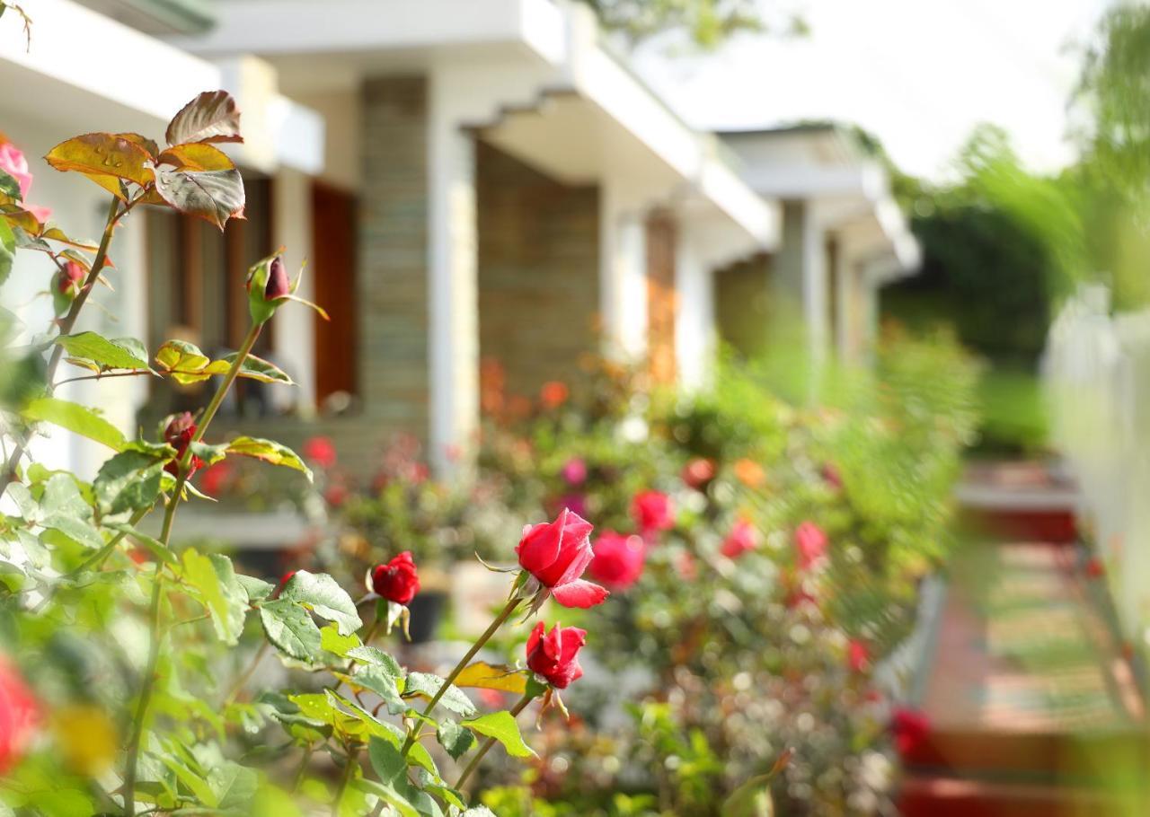 Resort Elysium Garden Munnar