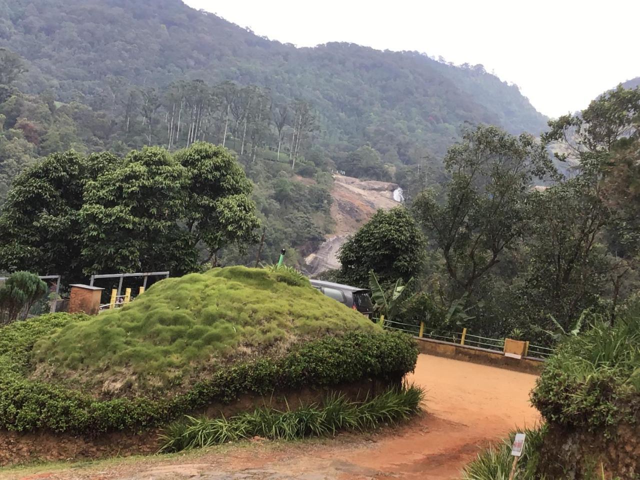 Wild Elephant Eco Friendly Resort Munnar
