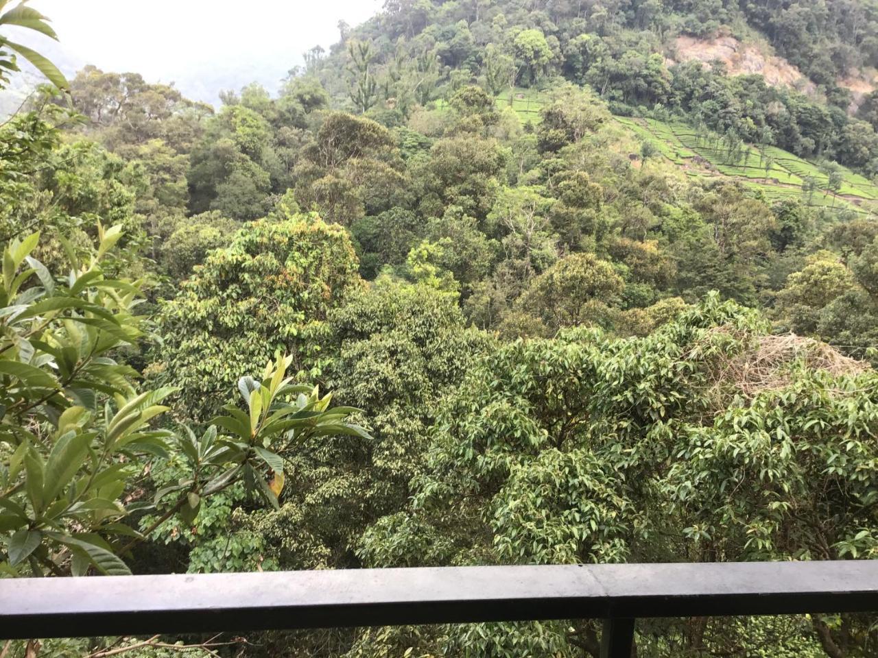 Resort Wild Elephant Eco Friendly